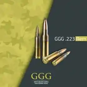 GGG Matchpatronen .223 Rem Sierra Matchking 69gr HPBT 20 Stück Packung Büchsen Munition