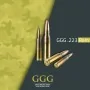 GGG Matchpatronen .223 Rem Sierra Matchking 69gr HPBT 20 Stück Packung Büchsen Munition