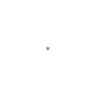 Trijicon MRO 1x25 Red Dot Sight 2.0 MOA Adj Green Dot AC32069 Montage Trijicon Onlineshop Startseite